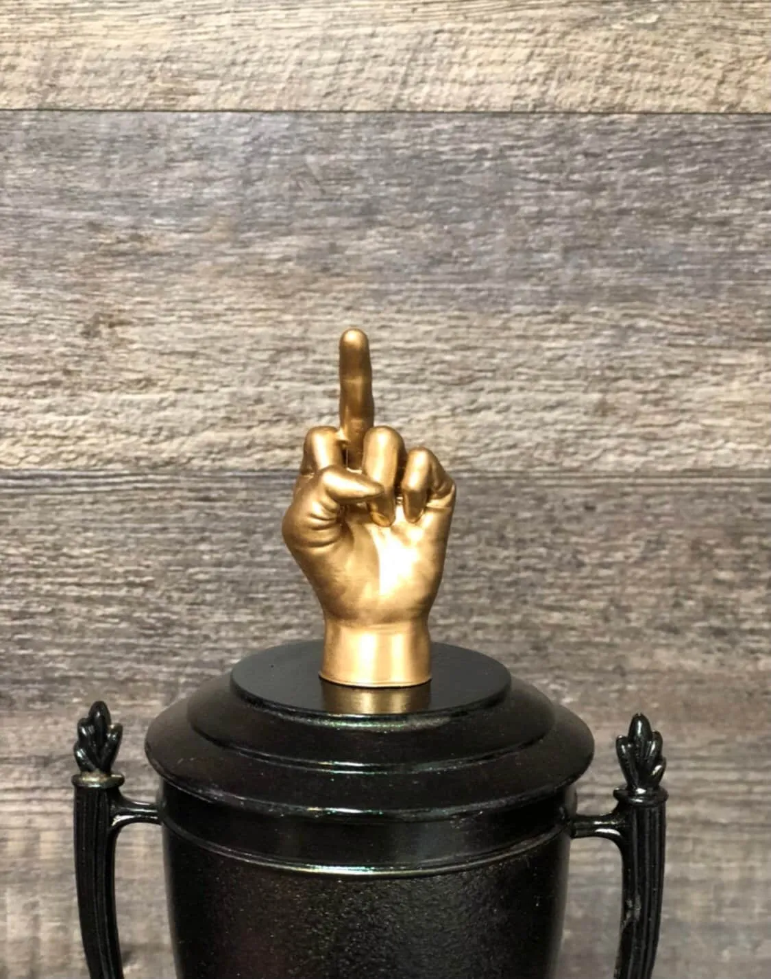 Middle Finger Funny Trophy Iridescent Cup Award FFL Loser Award Adult Humor The Bird F*ck You One Finger Two Words Christmas Gag Gift